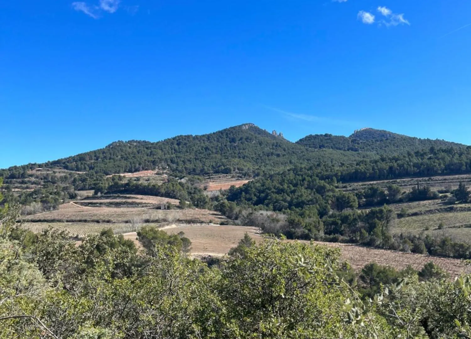 Holiday home Villa Les Vieux Chenes Vacqueyras